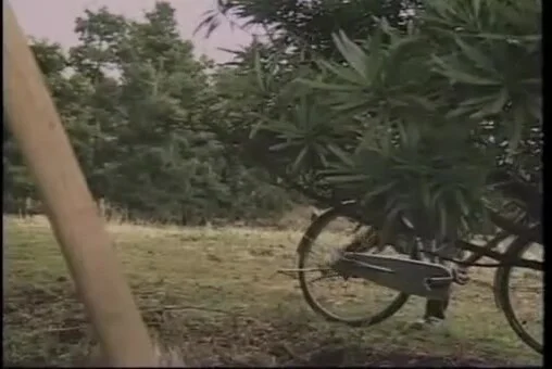 Japanese-sex-siko-639
