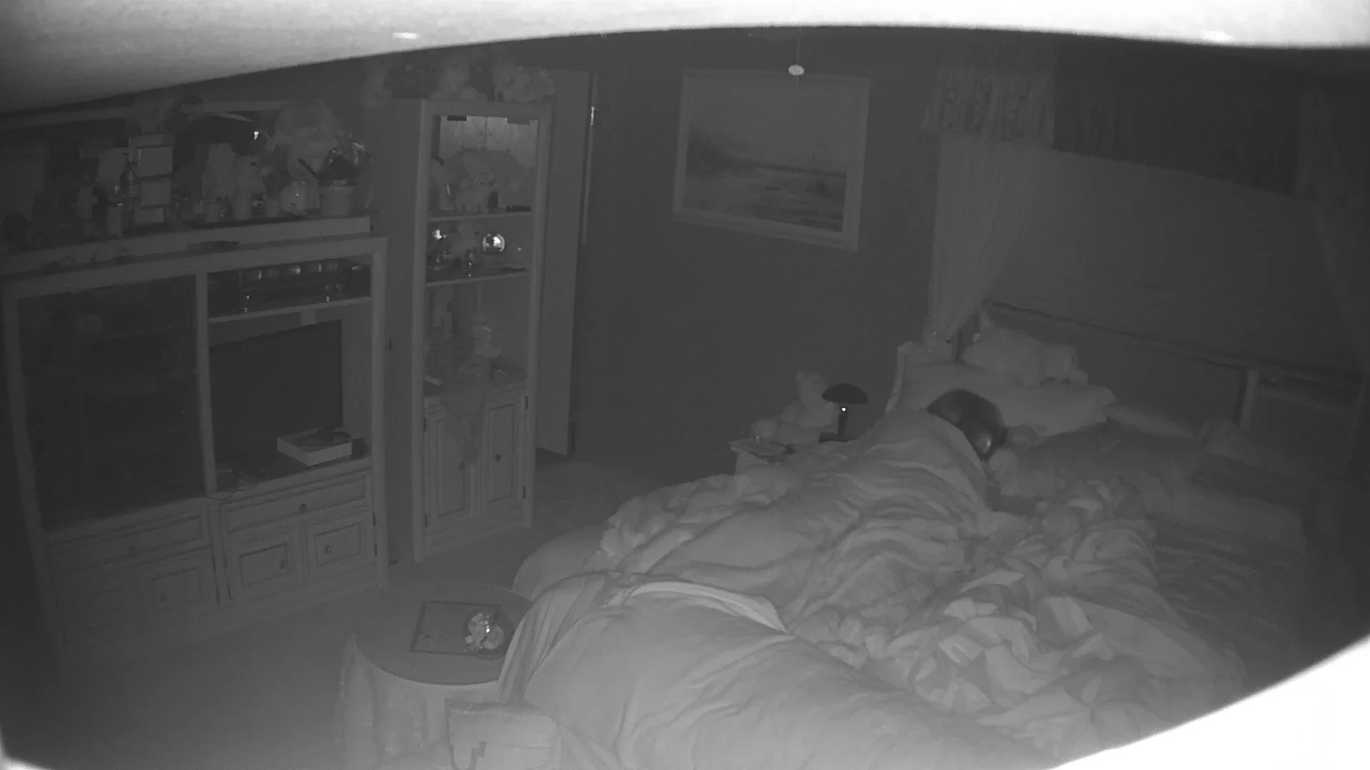 Amateur Wife caught masturbating night vision