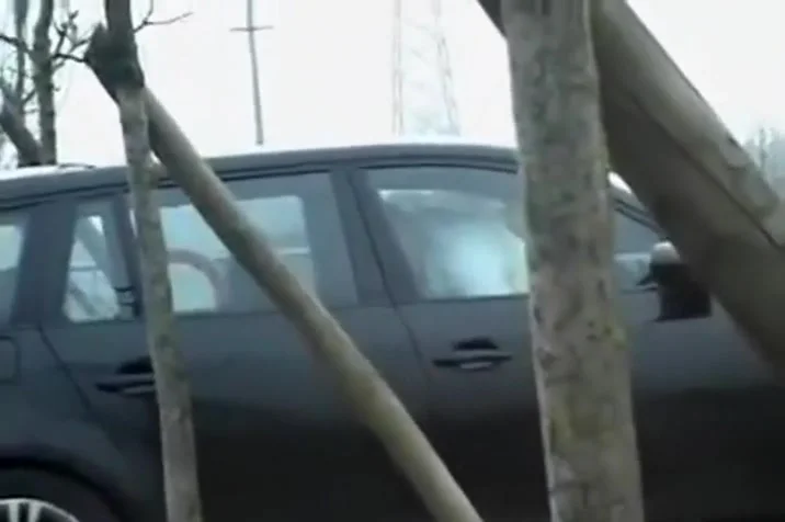 walked in on sex in the car